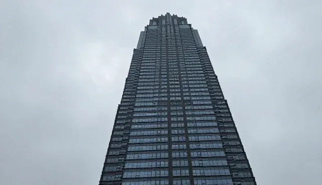 物流优化中定制化方案与标准化服务的取舍分析
